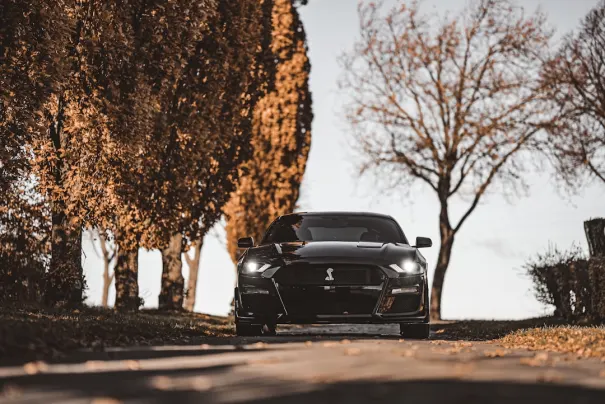 Fbet Kasyno Aplikacja Android/iOS